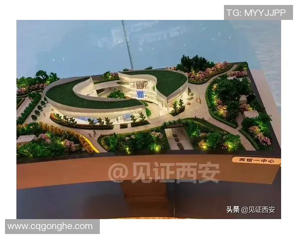 西安篮球队运营模式解析与发展潜力探讨